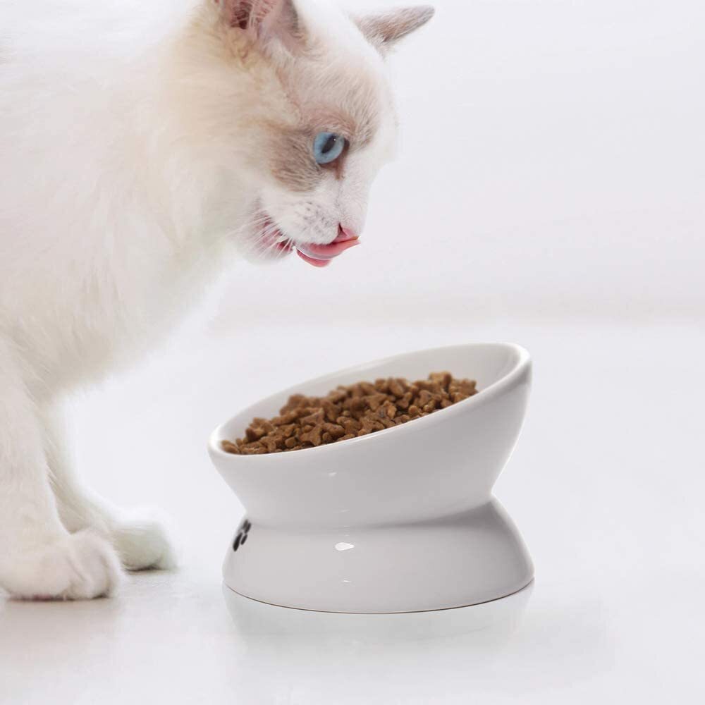 AntiVomiting Tilted Ceramic Cat Bowl