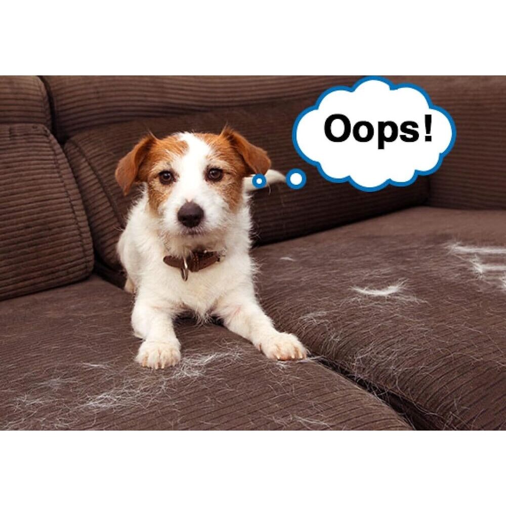 Portable SelfCleaning Cat Hair Remover Roller