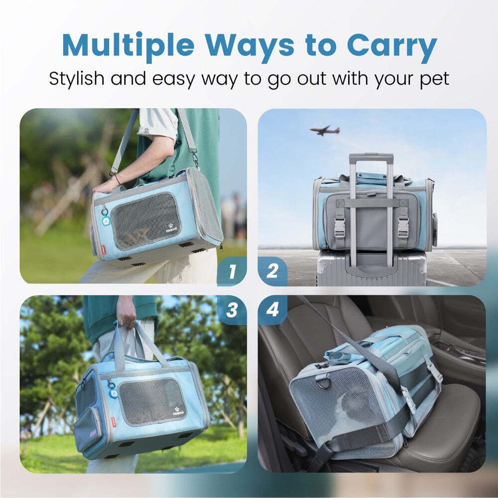 Modern Cat Vet Travel Carrier - CatGlamour.com - Calm Travel Carrier For Cat With Arthritis