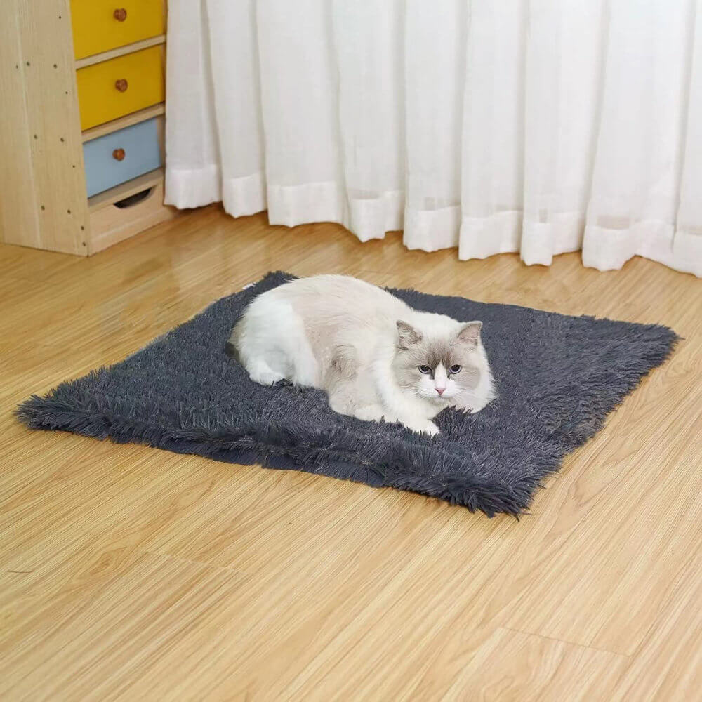 Premium Double Sided Super Soft Cat Blanket