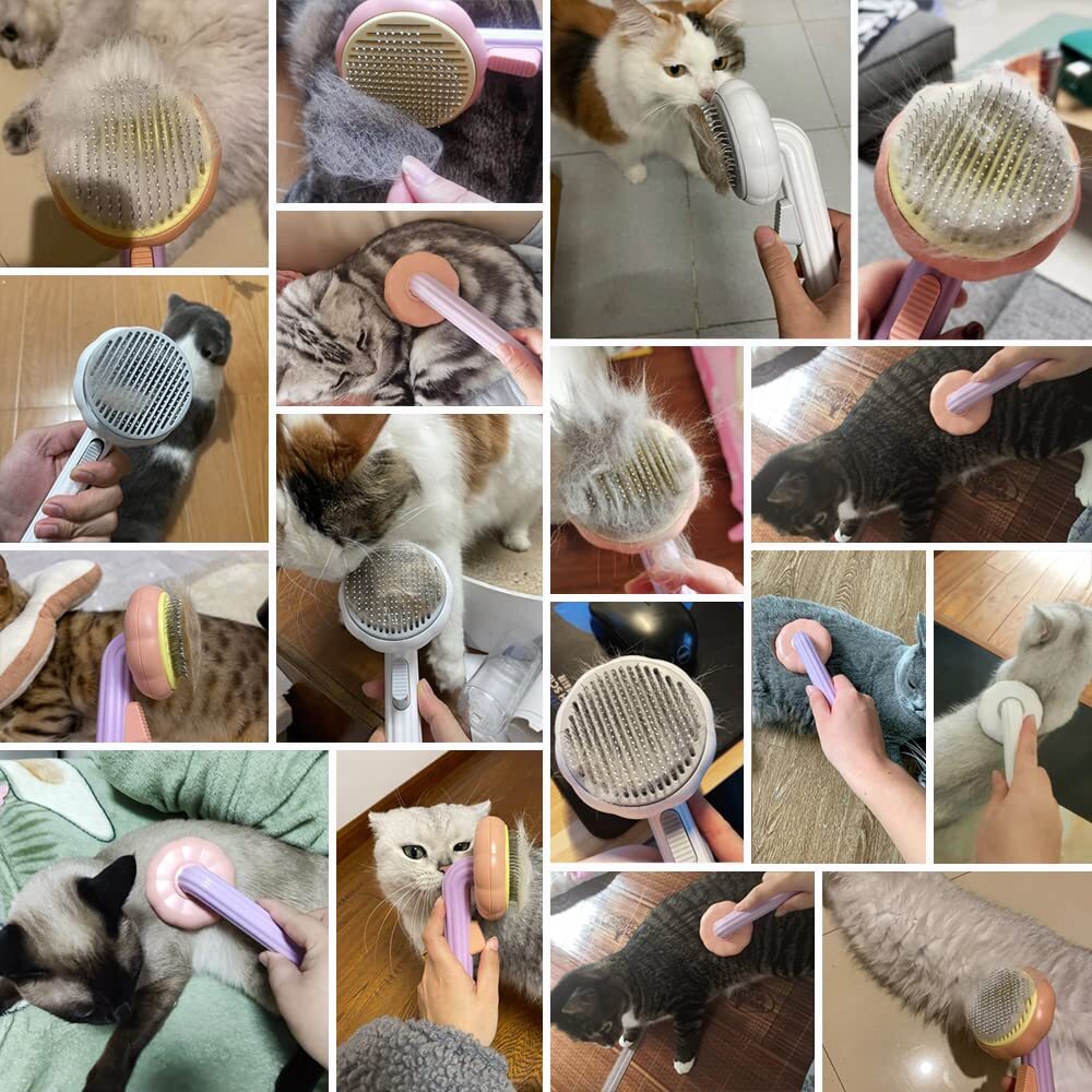 Smooth & SelfCleaning Cat Brush Kit
