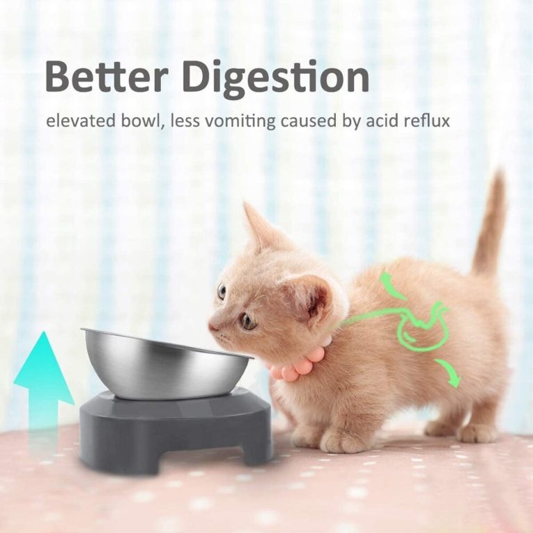 Stainless Steel AntiVomiting Cat Bowl