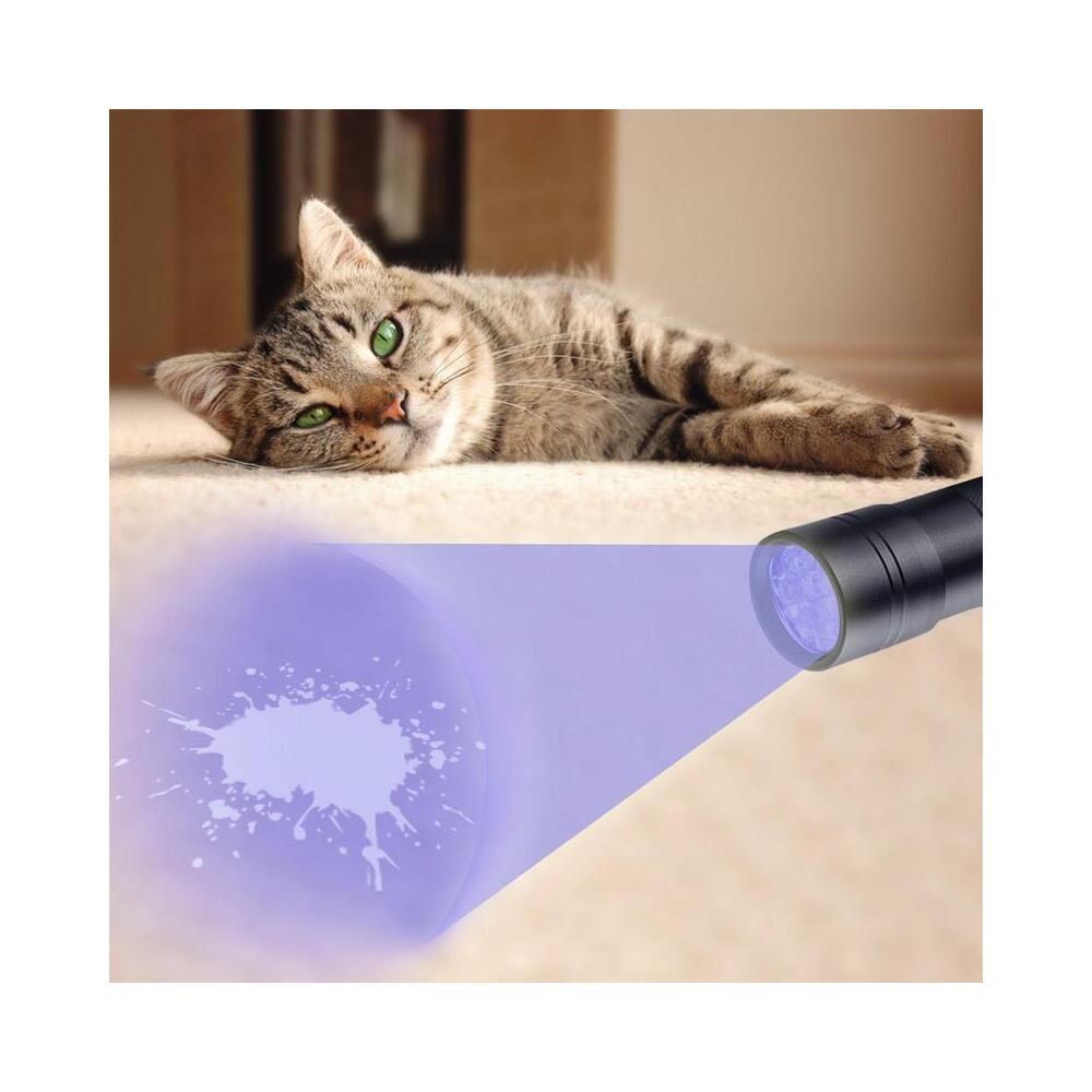 How To Detect Cat Urine With A Uv Light at Leo Mullins blog