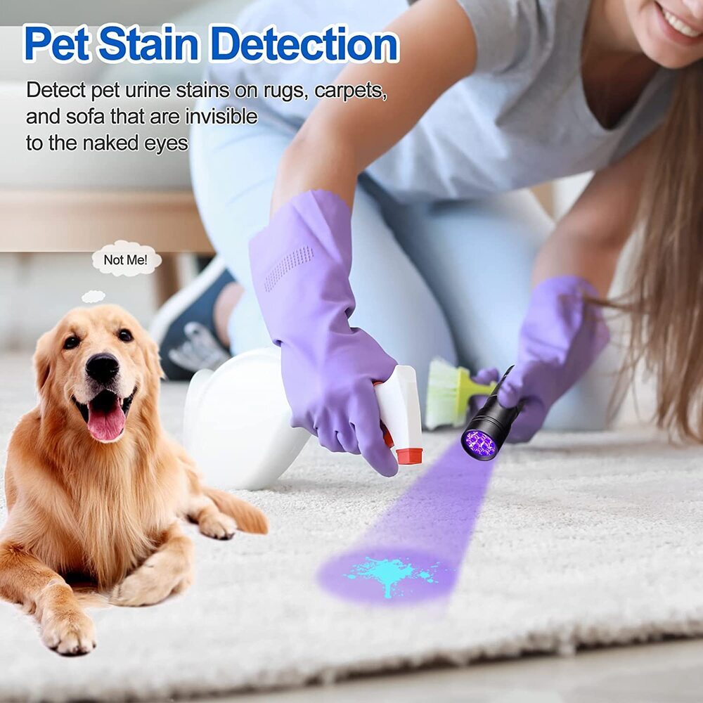 Uv Flashlight Cat Urine Detector