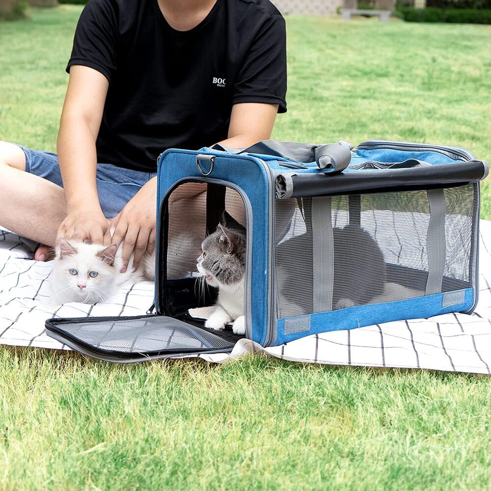 Extra Large Cat Carrier (Perfect For Vet Visits) –