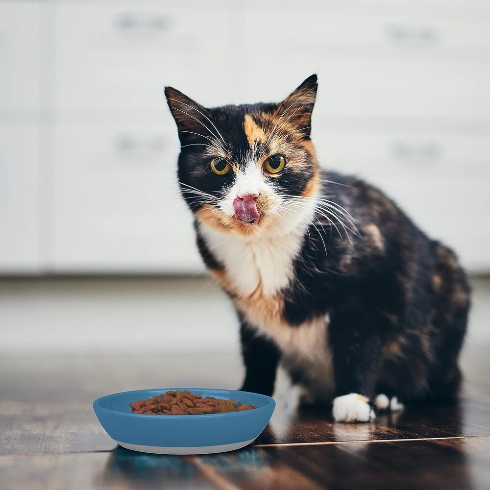 Whisker friendly outlet cat bowl