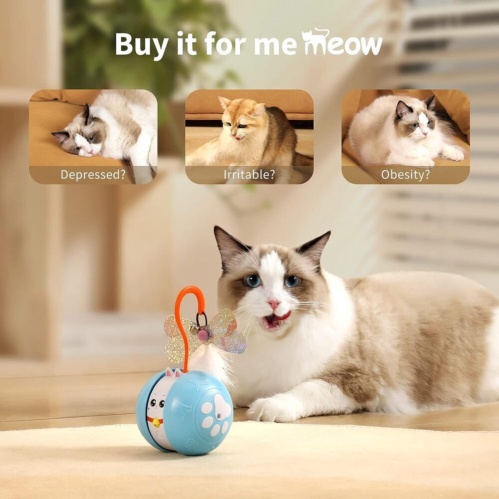 View of Run & Play Meowing Cat Laser Toy - CatGlamour.com