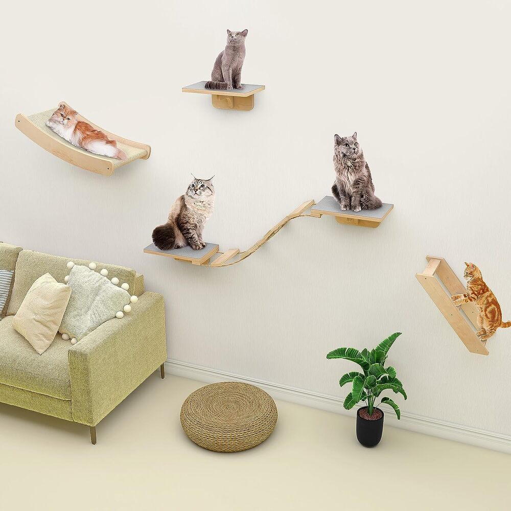 Stunning Cat Wall Units Vibrant Colors image