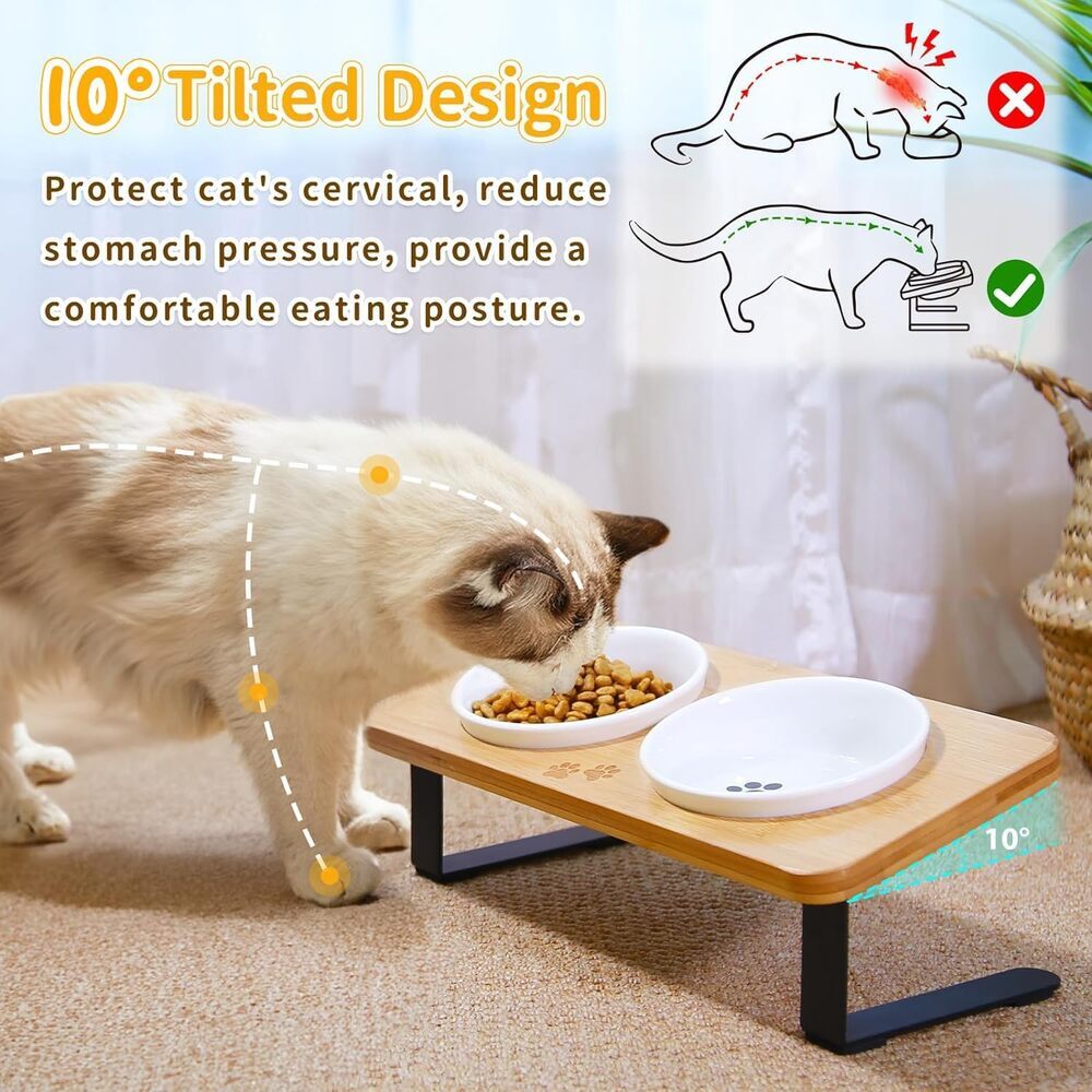 Modern Antivomiting Ceramic Cat Bowls