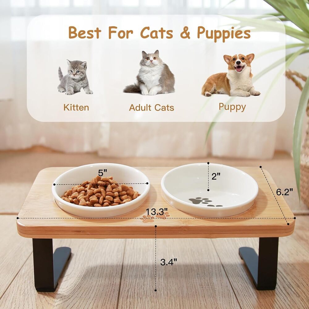 Modern Antivomiting Ceramic Cat Bowls