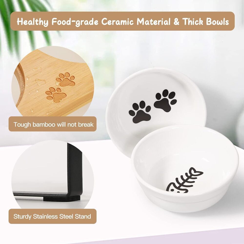 Modern Antivomiting Ceramic Cat Bowls