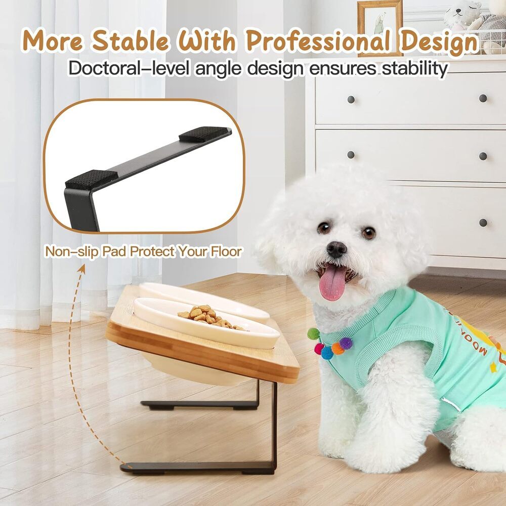 Modern Antivomiting Ceramic Cat Bowls