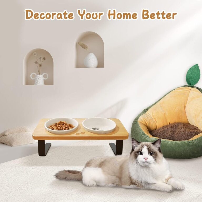 Modern Antivomiting Ceramic Cat Bowls