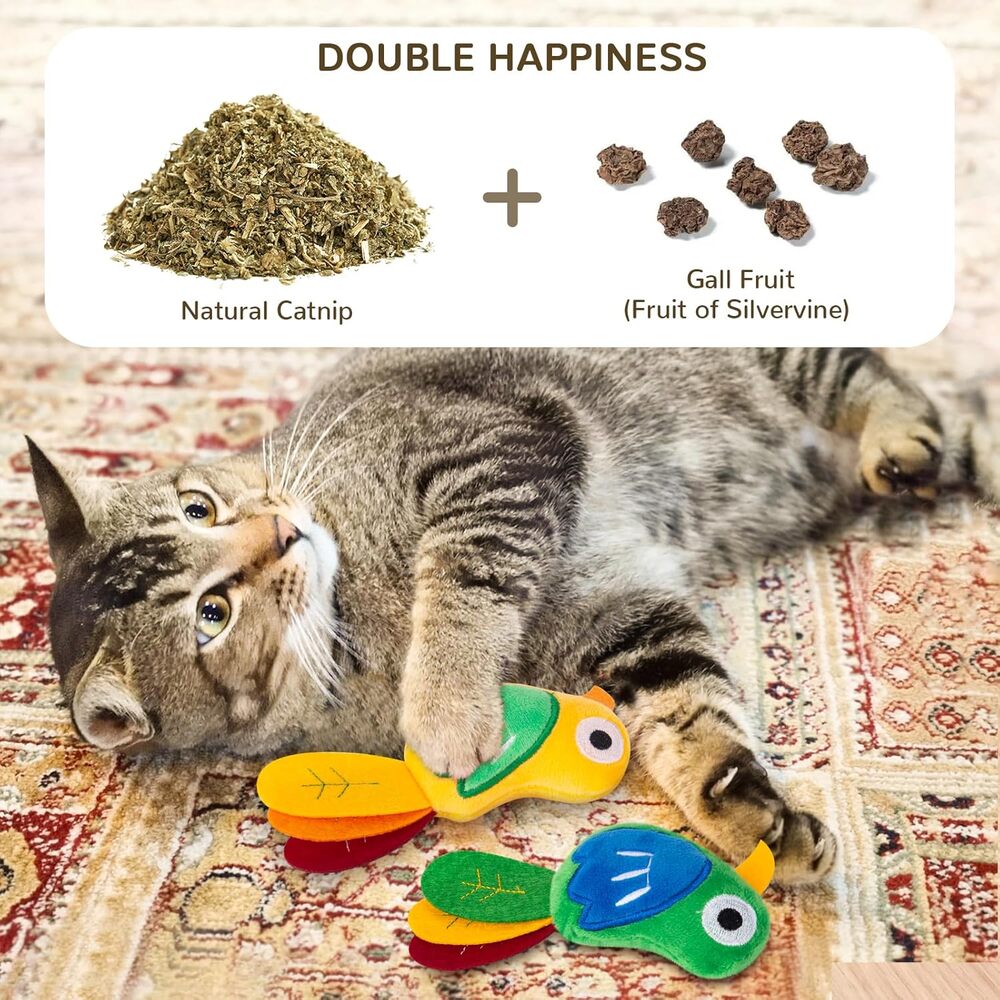 Catnip & Silvervine Blend