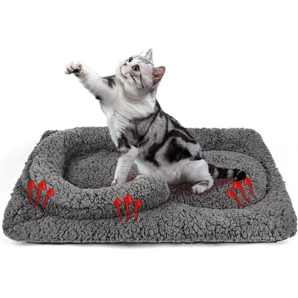 Qiweii Cactus Cat Beds For Indoor Cute Cactus Fluffy Puppy Bed Squishmall Pet Bed With Removable