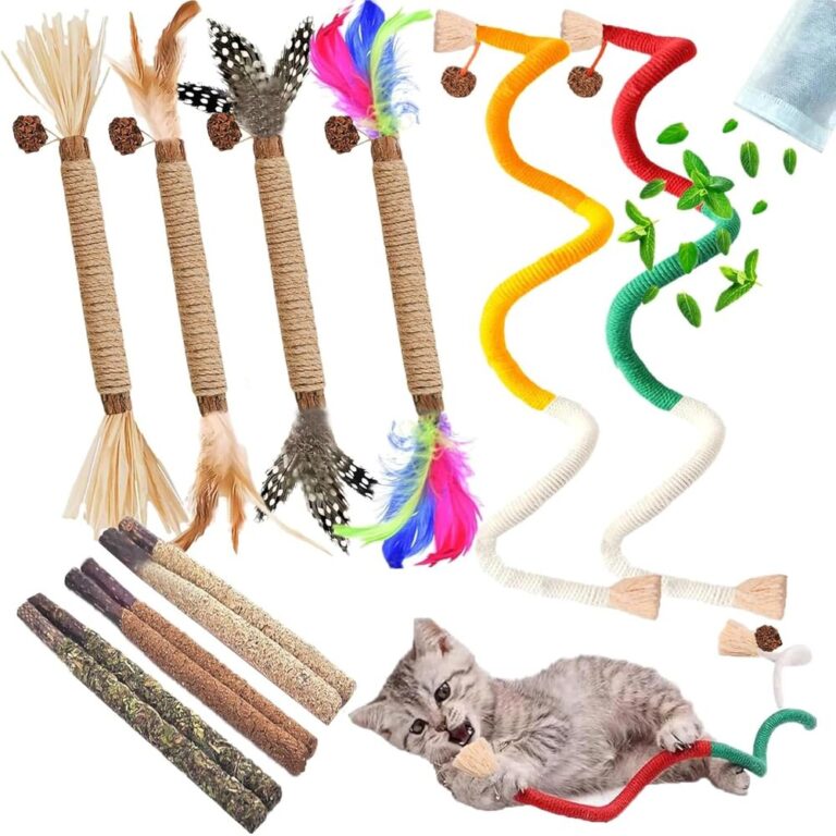 12PCS Interactive Cat Toy Set – Catnip, Silvervine Chew Toys & Feather ...