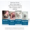 Ultra-Fine Pet Toothbrush Set – 5 PCS