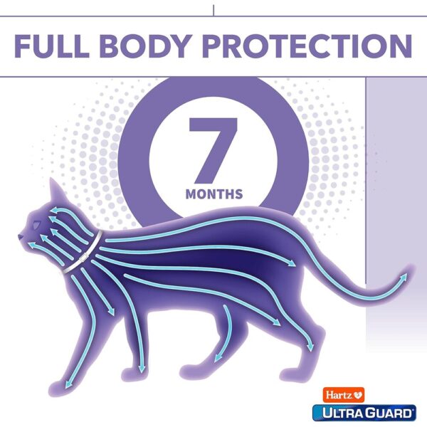 UltraGuard Flea & Tick Collar for Cats and Kittens-03 UltraGuard Flea & Tick Collar for Cats and Kittens, 7 Month Flea and Tick Protection